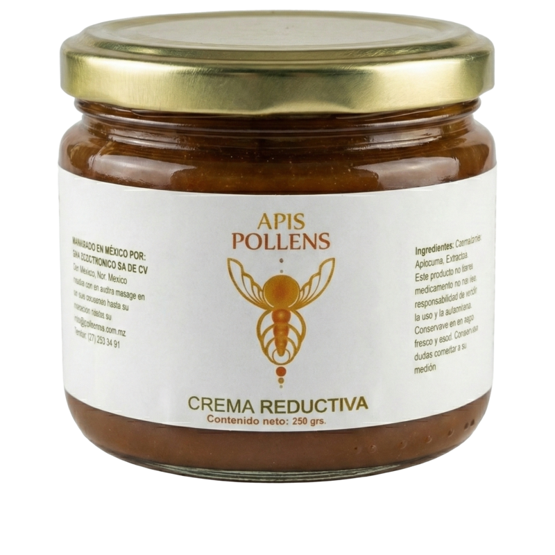 APIS POLLEN Gel Reductivo 250g