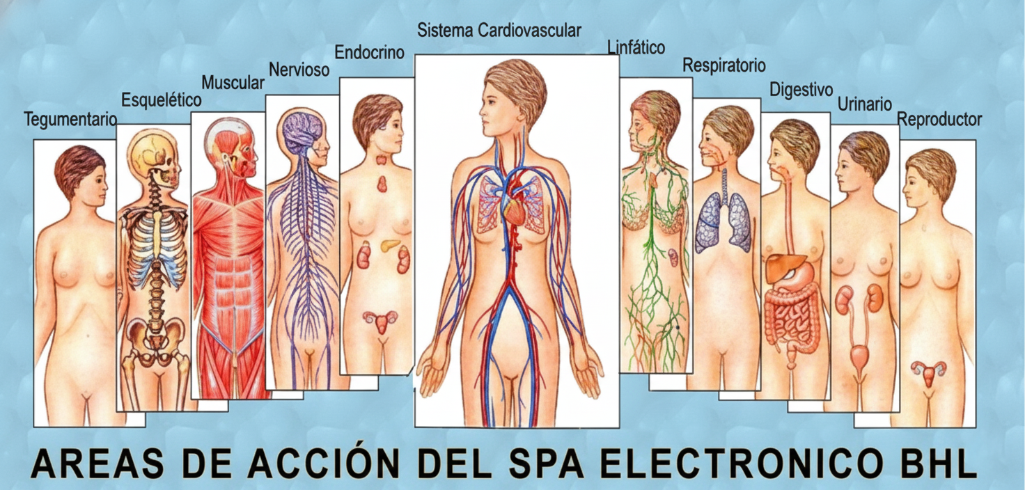 Gemini_Generated_Image_xjcvcvxjcvcvxjcv